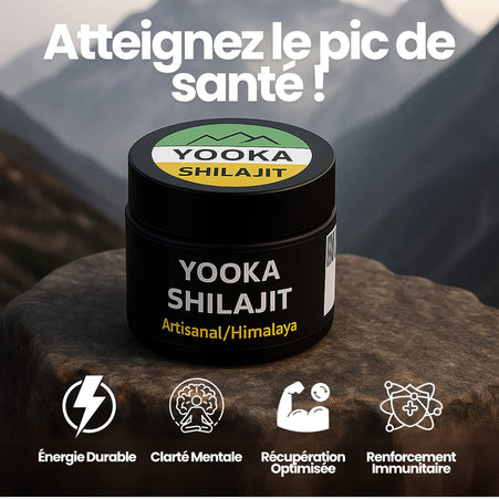YOOKA SHILAJIT 50G