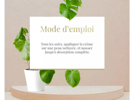 ARGANICARE Crème de nuit nourrissante et régénérante - Tous types de peaux - Aloe Vera