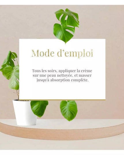 ARGANICARE Crème de nuit nourrissante et régénérante - Tous types de peaux - Aloe Vera - Nymphora