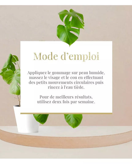 Gommage visage exfoliant et purifiant - Tous types de peaux - Aloe Vera - Nymphora