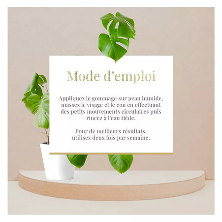 Gommage visage exfoliant et purifiant - Tous types de peaux - Aloe Vera