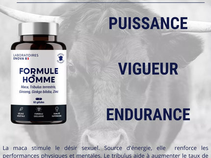 FORMULE HOMME | Vigueur, Puissance, Endurance | Complexe de Plantes pour Hommes : Maca, Tribulus Terrestris, Ginseng, Ginkgo Biloba, Zinc | 60 Gélules | Fabriqué en France | Complement alimentaire