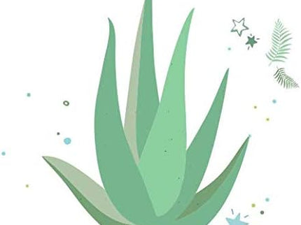 ECO SECRET MASQUE VISAGE ALOE VERA - 1 Masque Tissu