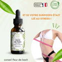 Accueil