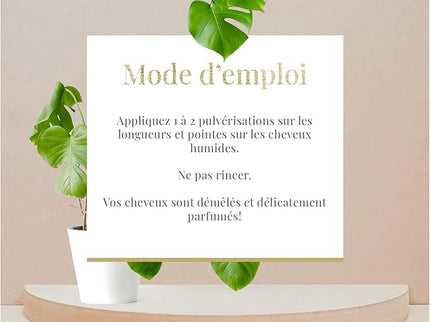 ARGANICARE Spray réparateur 10-en-1 sans-rinçage - Ricin